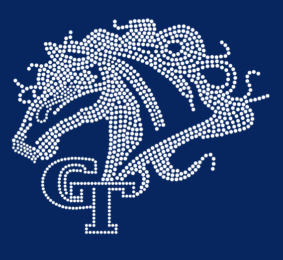 CURLY STALLION BLING DESIGN