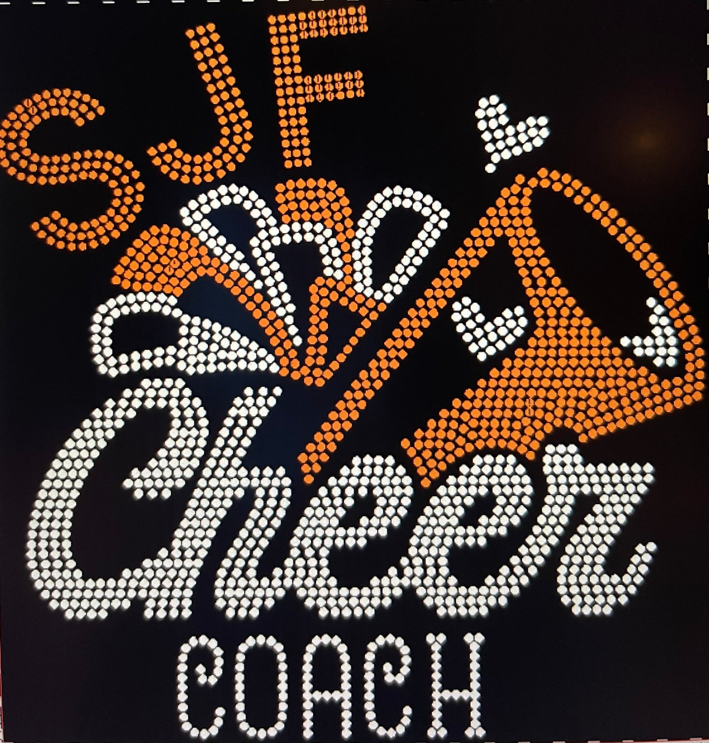 SJF COACH BLING