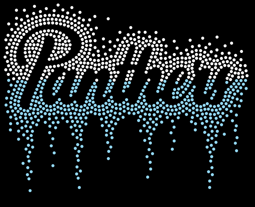 PANTHERS PYAA BLING ADULT JEAN JACKET