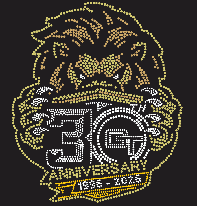 GT LIONS 30TH ANNIVERSARY BLING DESIGN