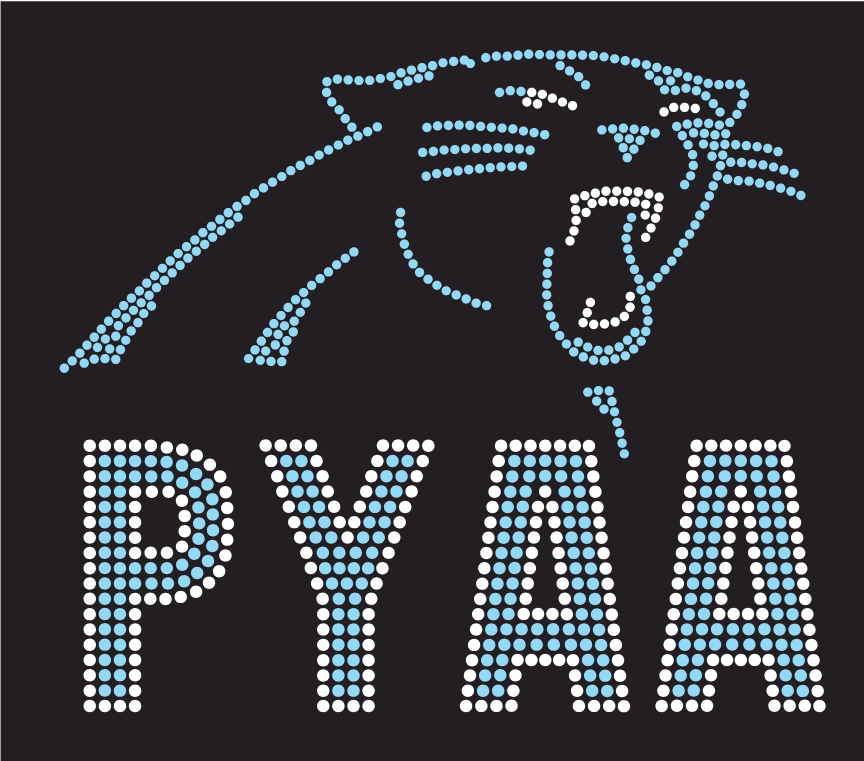PANTHERS PYAA LOGO GRAY/BLACK LEOPARD HOODIE