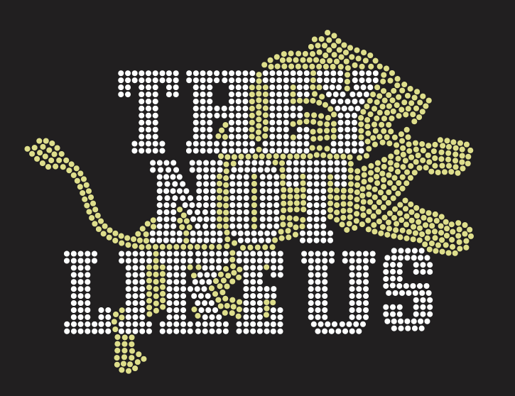 GT LIONS THEY NOT LIKE US RHINESTONE DESIGN