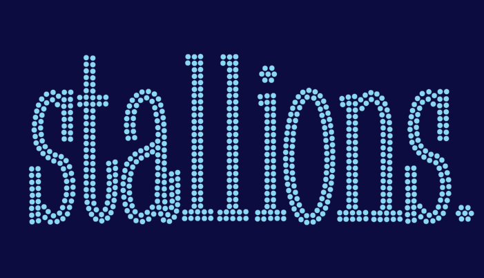 GT STALLIONS TYPE PERIOD BLING DESIGN